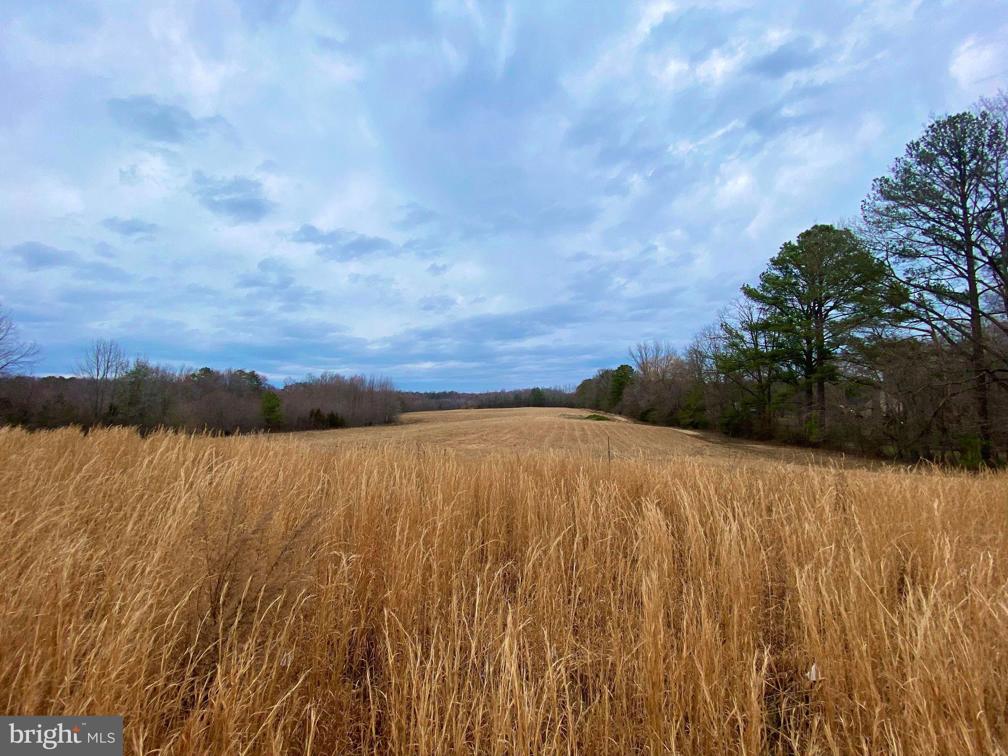 17088 Old Ridge Road Montpelier, VA 23192 - Photo 38 of 38 a view of an ocean