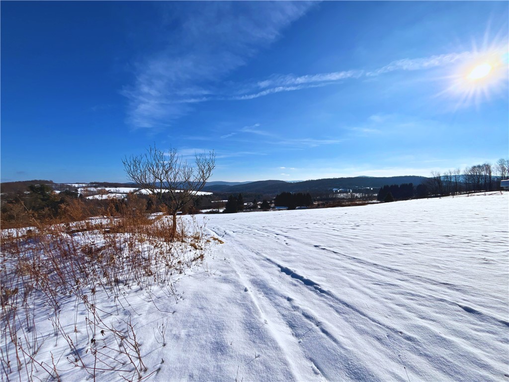 Lot 41 Hamden Hill Road Hamden, NY 13782 - Photo 11 of 24
