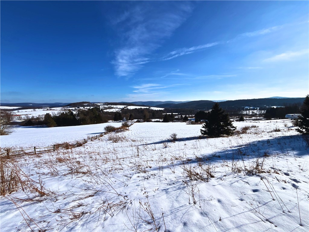 Lot 41 Hamden Hill Road Hamden, NY 13782 - Photo 13 of 24