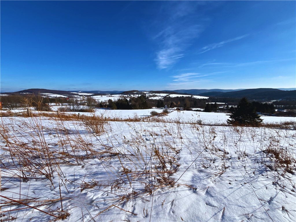 Lot 41 Hamden Hill Road Hamden, NY 13782 - Photo 14 of 24