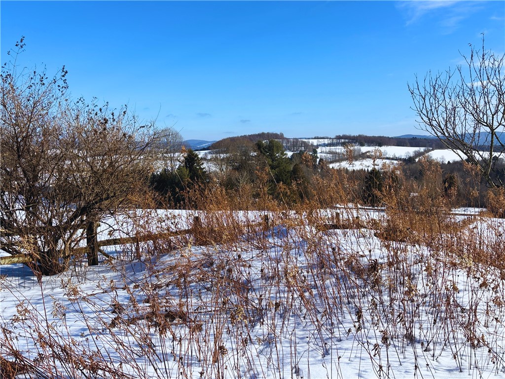 Lot 41 Hamden Hill Road Hamden, NY 13782 - Photo 15 of 24