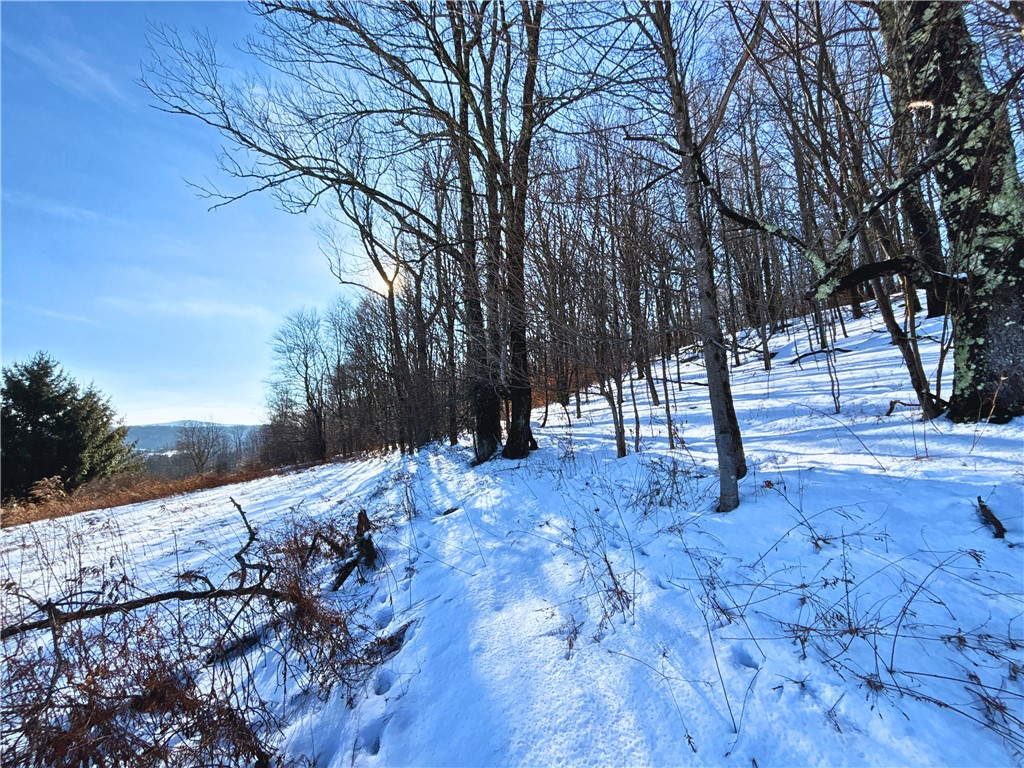 Lot 41 Hamden Hill Road Hamden, NY 13782 - Photo 17 of 24