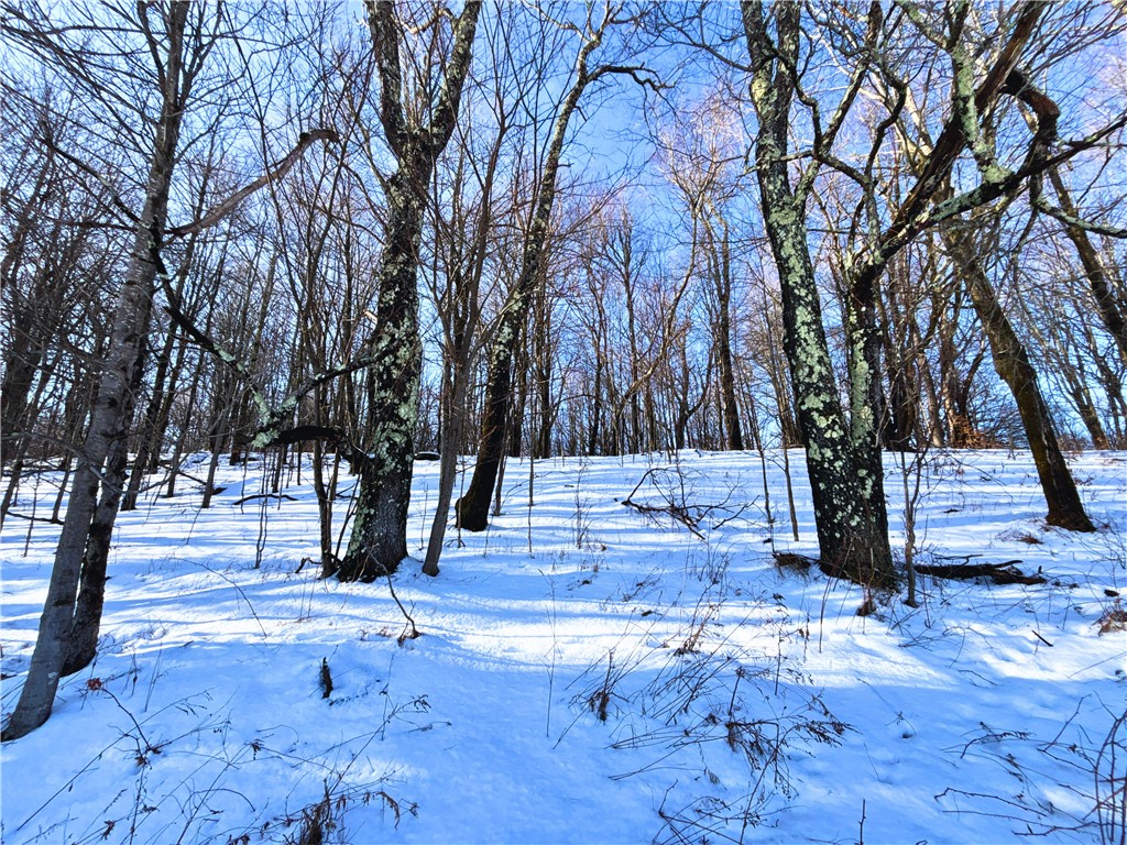 Lot 41 Hamden Hill Road Hamden, NY 13782 - Photo 18 of 24