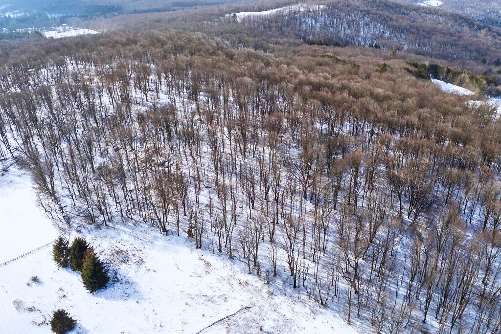 Lot 41 Hamden Hill Road Hamden, NY 13782 - Photo 20 of 24