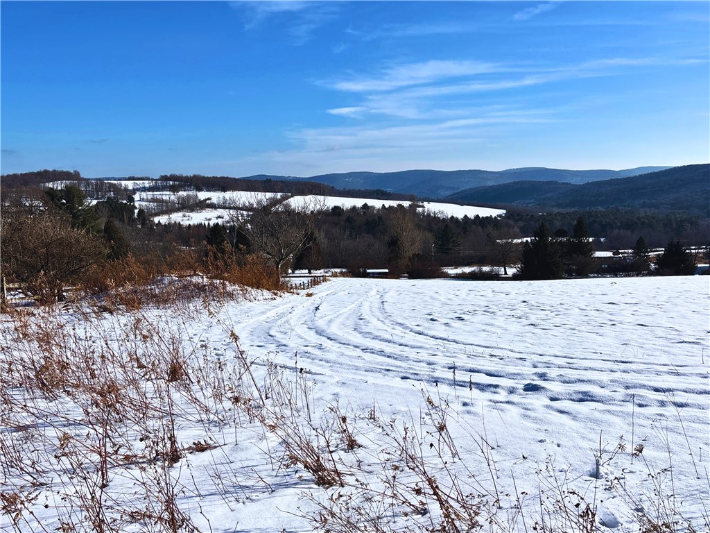 Lot 41 Hamden Hill Road Hamden, NY 13782 - Photo 2 of 24