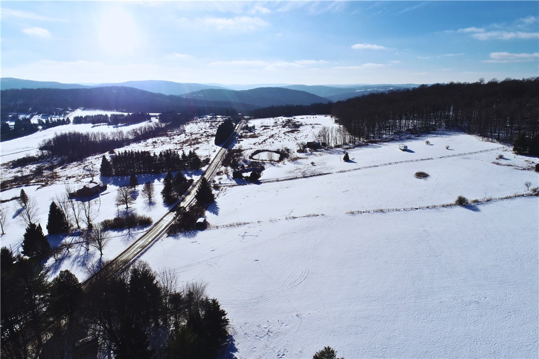 Lot 41 Hamden Hill Road Hamden, NY 13782 - Photo 21 of 24