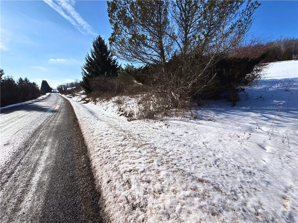 Lot 41 Hamden Hill Road Hamden, NY 13782 - Photo 23 of 24