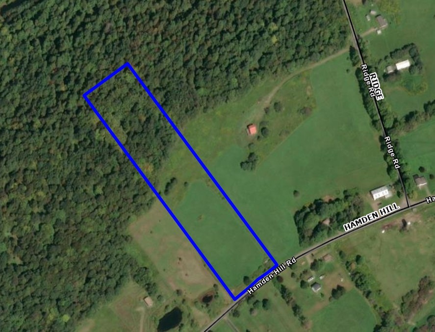 Lot 41 Hamden Hill Road Hamden, NY 13782 - Photo 24 of 24