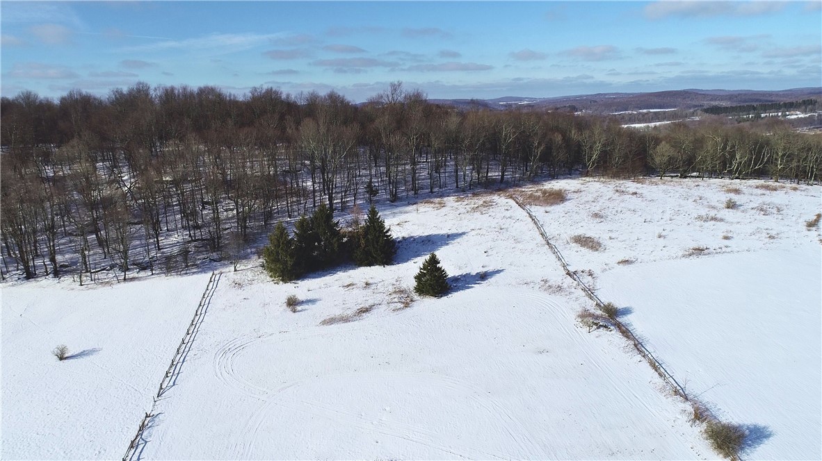 Lot 41 Hamden Hill Road Hamden, NY 13782 - Photo 4 of 24