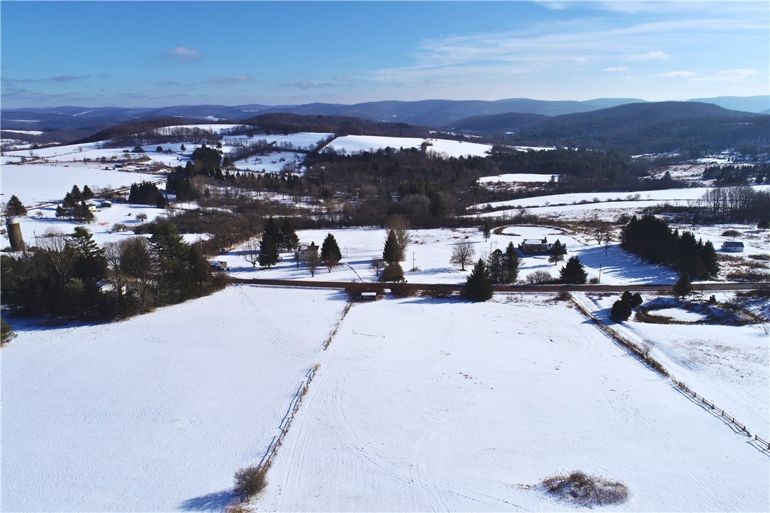 Lot 41 Hamden Hill Road Hamden, NY 13782 - Photo 5 of 24