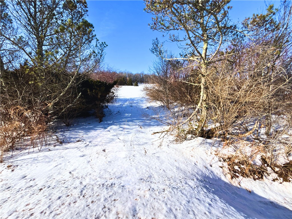 Lot 41 Hamden Hill Road Hamden, NY 13782 - Photo 6 of 24