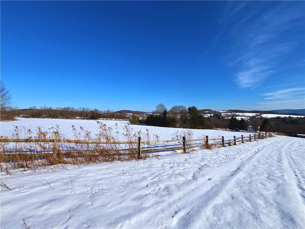 Lot 41 Hamden Hill Road Hamden, NY 13782 - Photo 9 of 24