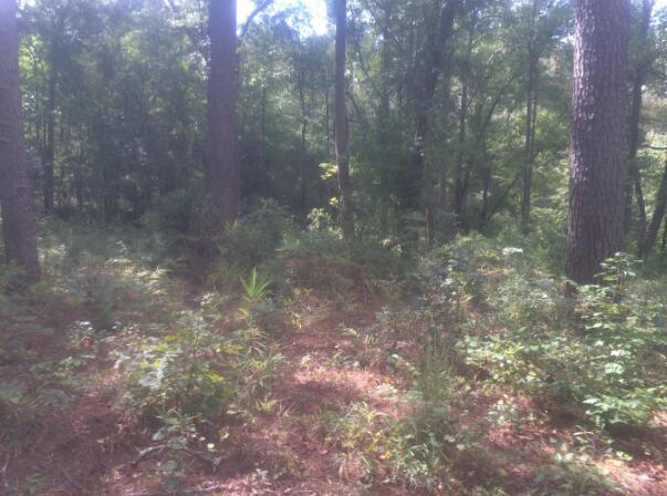 Tbd Country Club Road Edgefield, SC 29824 - Photo 1 of 1 Primary