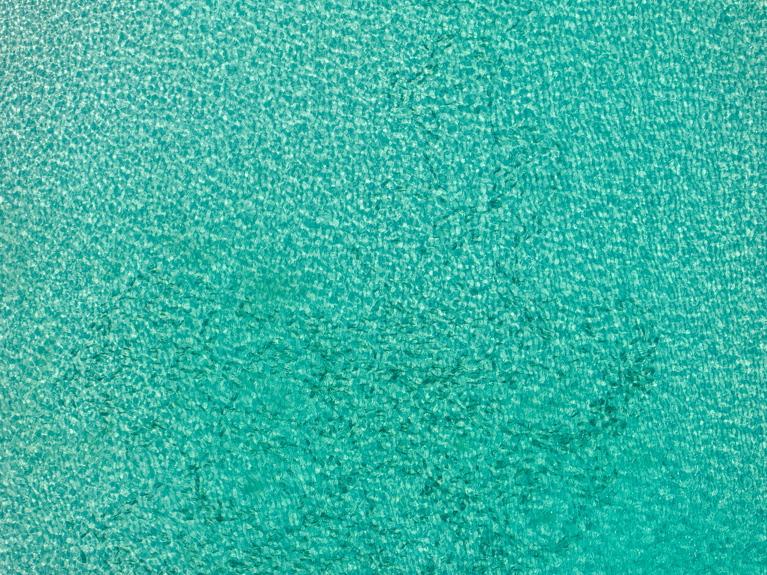 25 Tristram Way Miramar Beach, FL 32550 - Photo 8 of 50 a view of a green wall