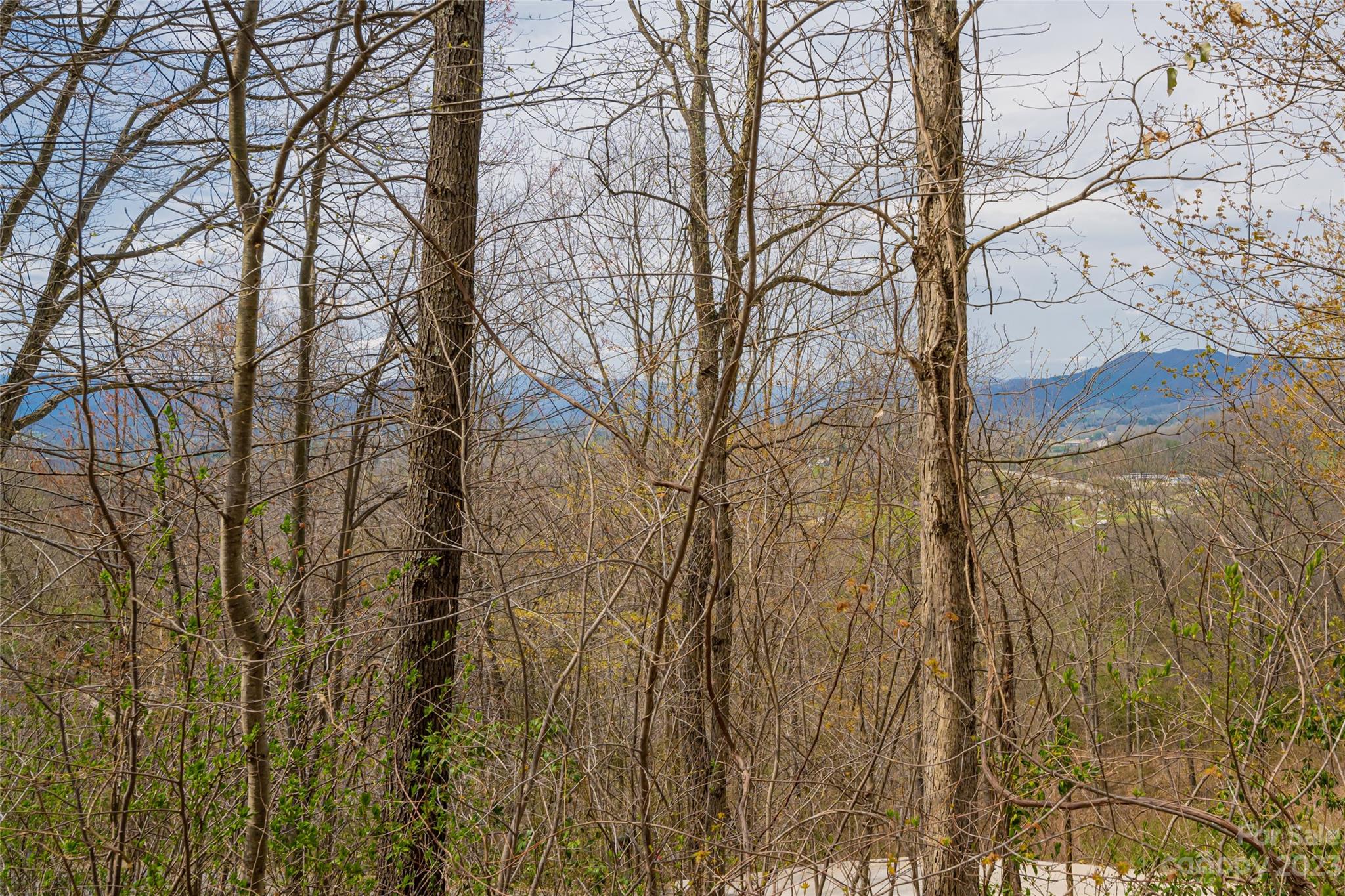 142 Blake Drive Canton, NC 28716 - Photo 2 of 44 a view of a yard