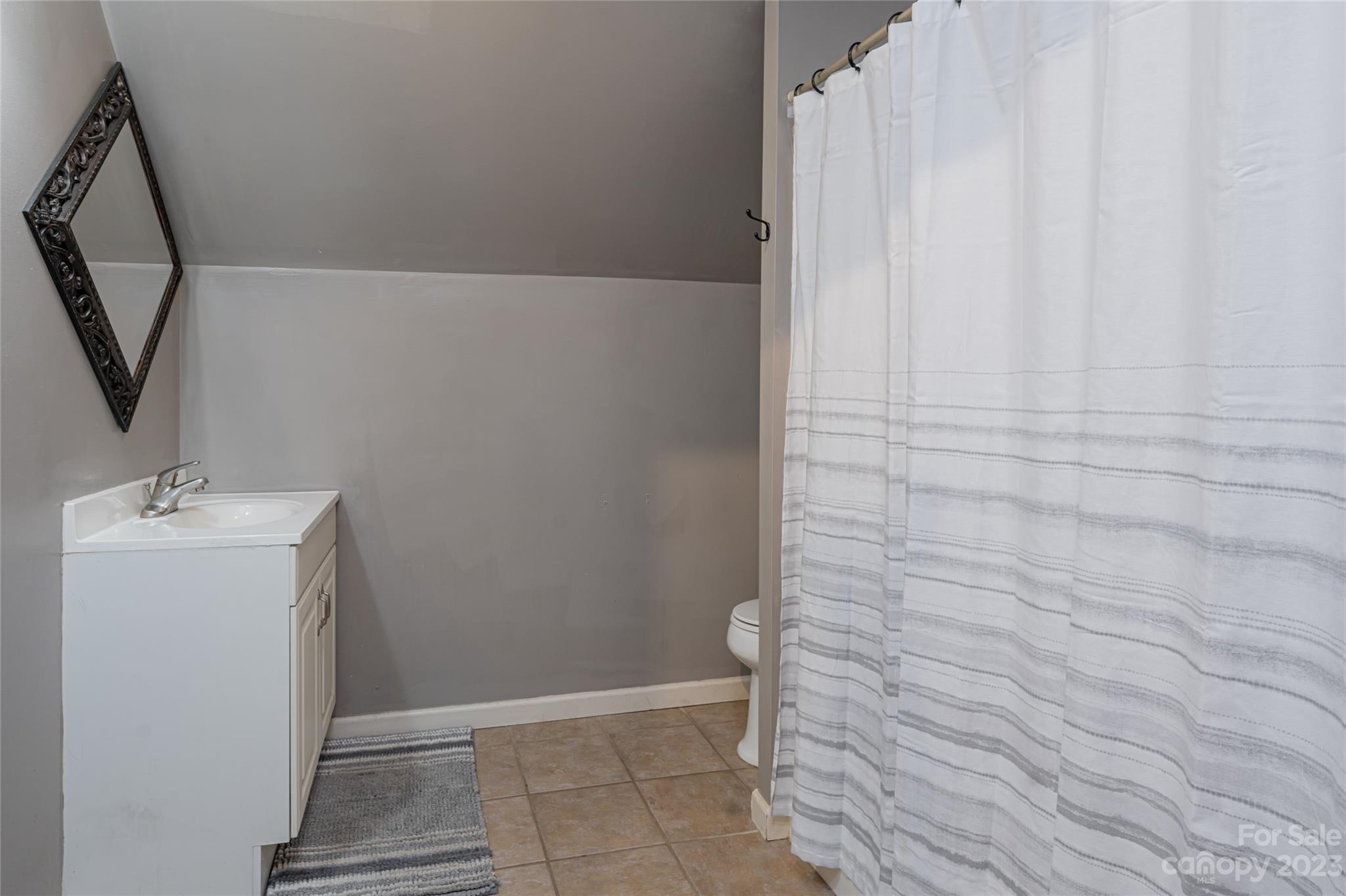 142 Blake Drive Canton, NC 28716 - Photo 23 of 44 a bathroom with a sink and a mirror