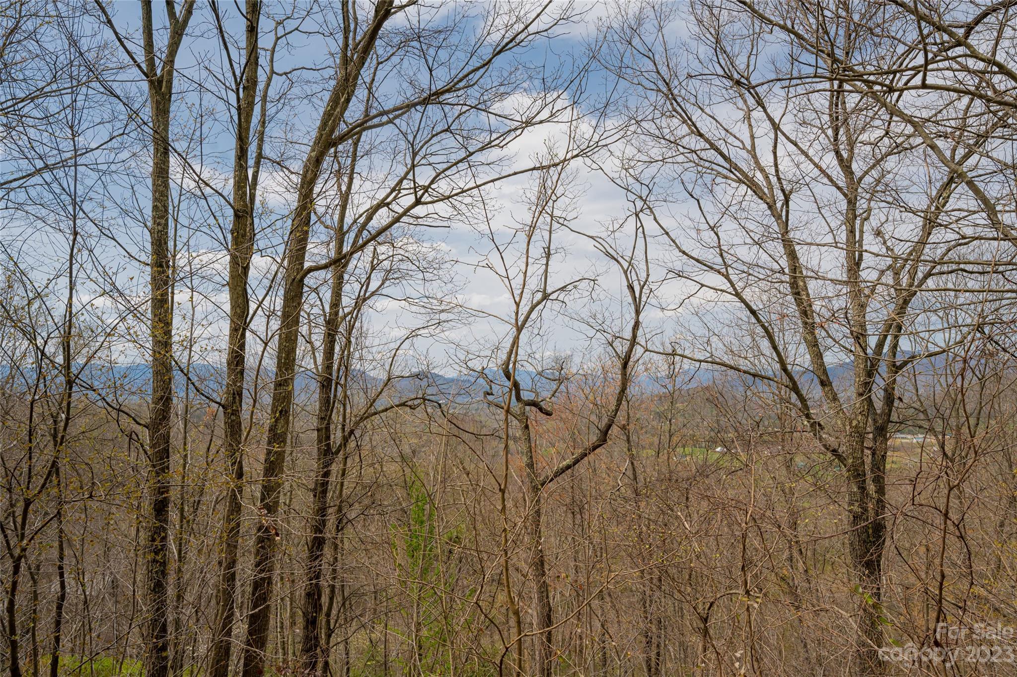 142 Blake Drive Canton, NC 28716 - Photo 36 of 44 a backyard of a house with lots of green space