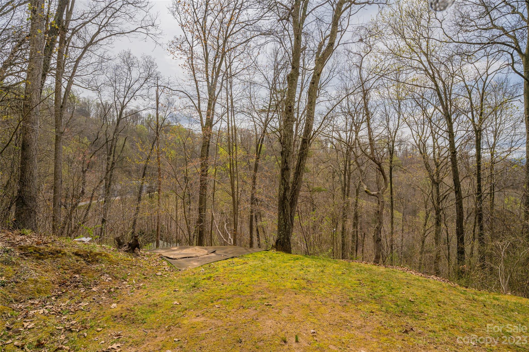 142 Blake Drive Canton, NC 28716 - Photo 38 of 44 a view of a backyard of the house