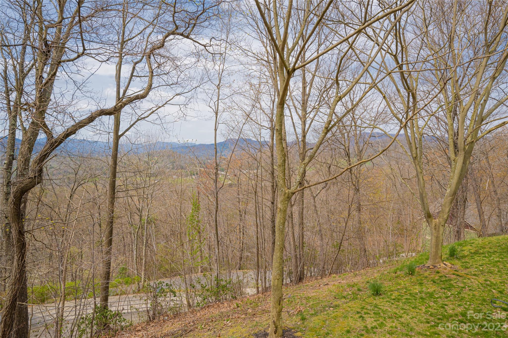 142 Blake Drive Canton, NC 28716 - Photo 39 of 44 a backyard of a house with a large tree