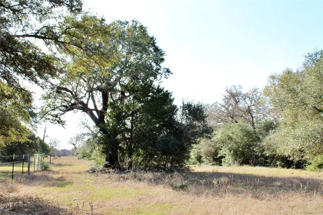 $250,000 | 4 Lobo Lane, Columbus, TX 78934