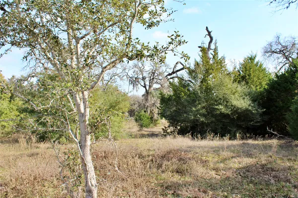 a backyard of a house with lots of trees