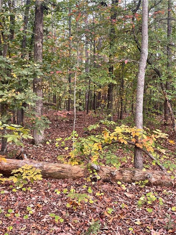 41 Fox Fire Lane Southwest Cartersville, GA 30120 - Photo 2 of 3