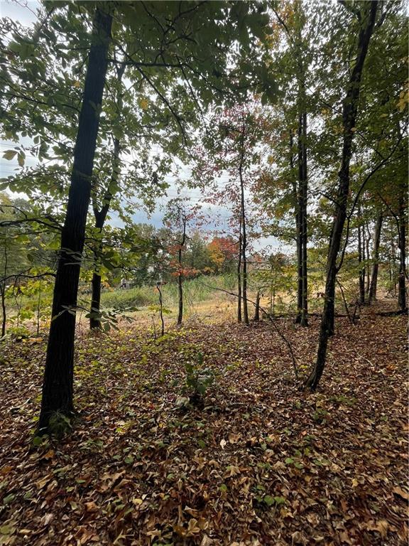 41 Fox Fire Lane Southwest Cartersville, GA 30120 - Photo 3 of 3 a view of a yard with lots of green space