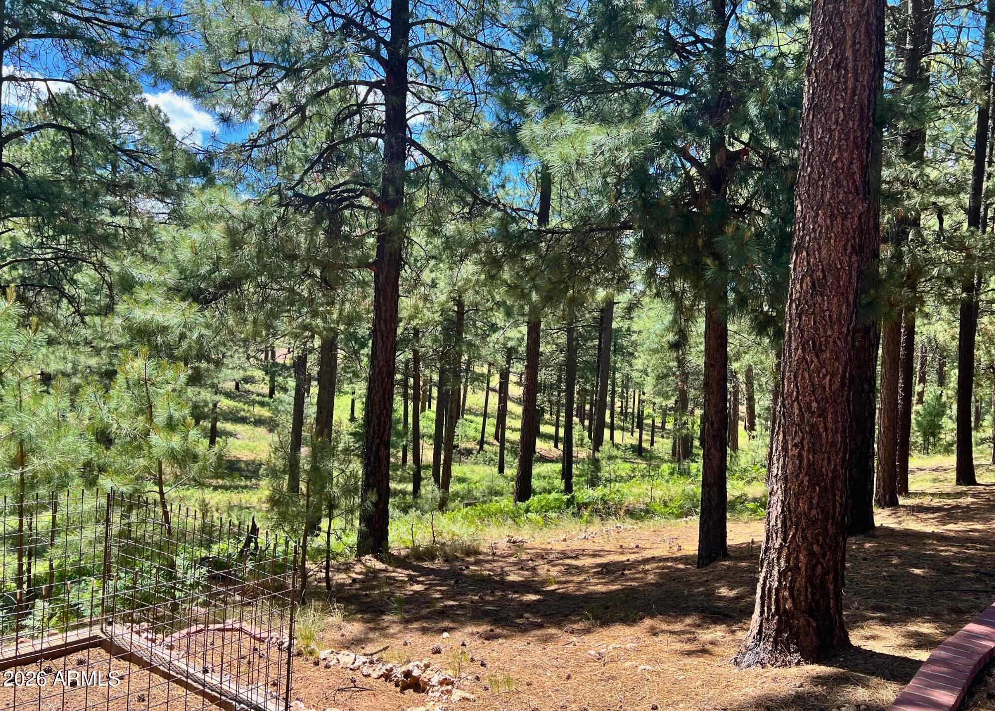 2367 Ryan Ranch Loop Forest Lakes, AZ 85931 - Photo 68 of 70