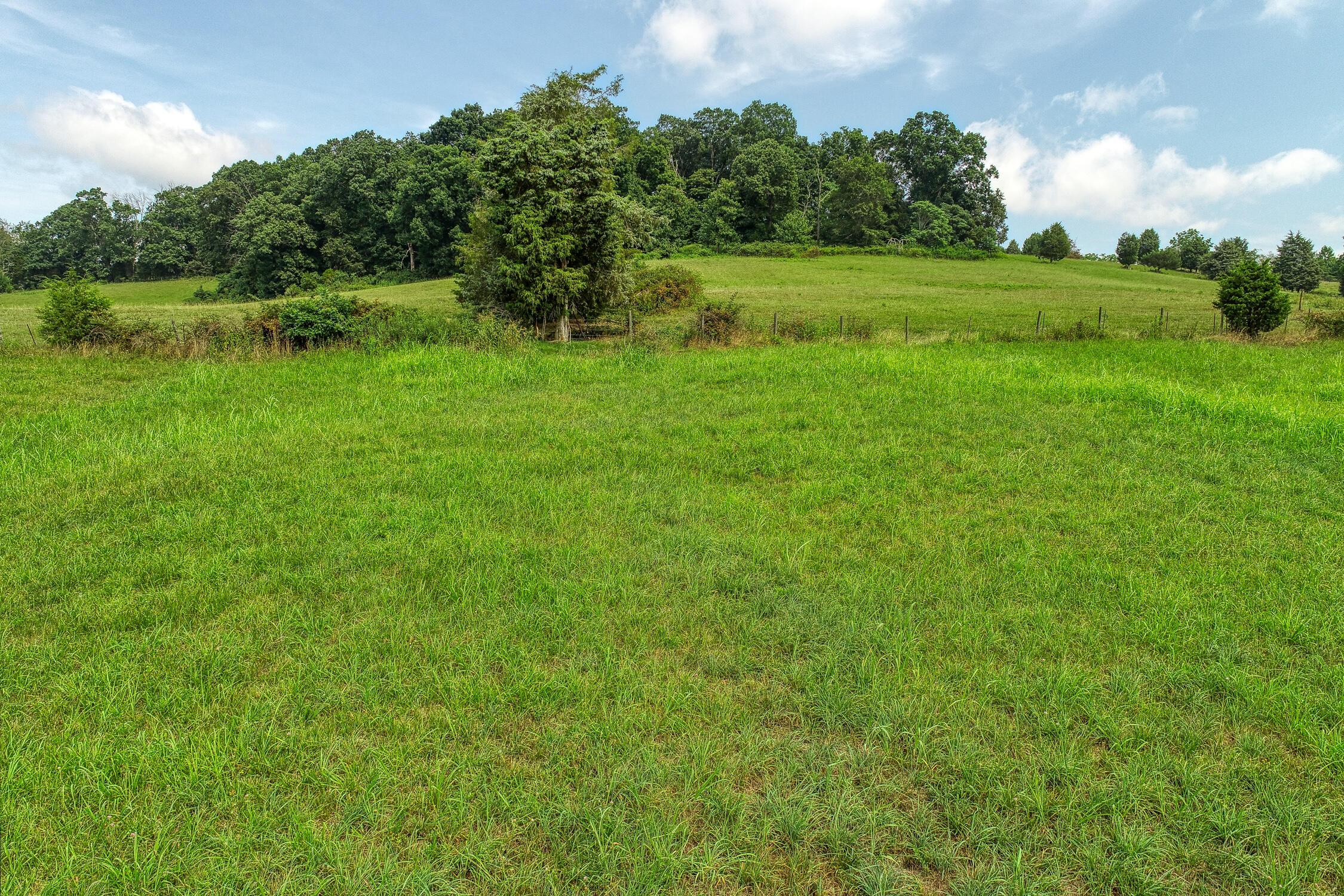 Tbd Shipley Road Church Hill, TN 37642 - Photo 6 of 29 Givens. Shipley. CH MLSa (3 of 33) V