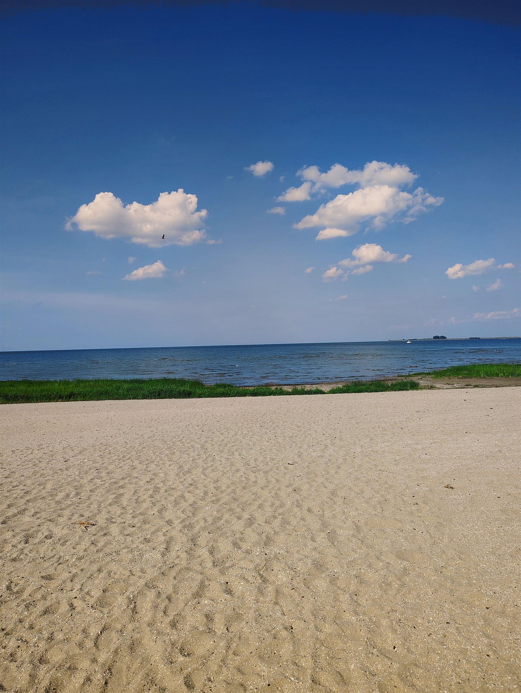 853 Shady Shore Road Bay City, MI 48706 - Photo 35 of 41 1937507-bfd571f3-844c-45b3-970a-9a5bd726da86.JPG