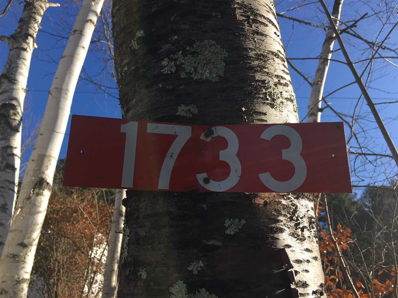 1733 Gee Hill Road Royalton, VT 05068 - Photo 13 of 17