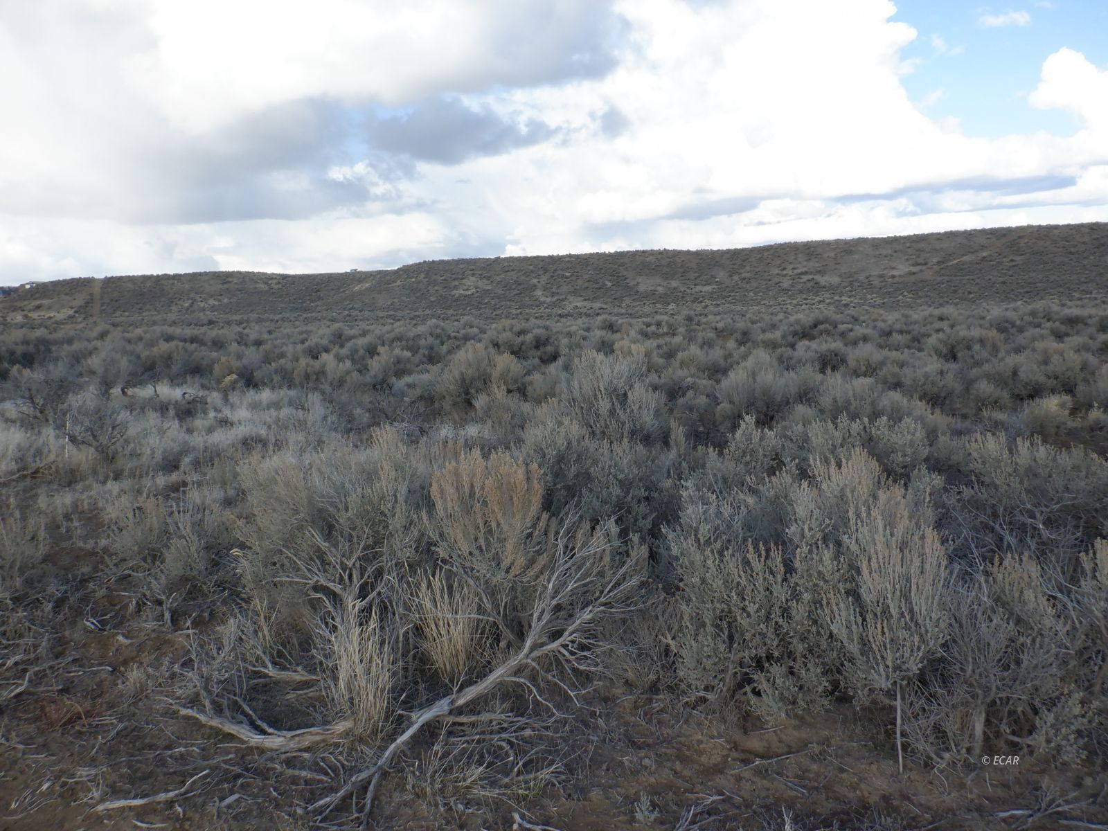 40-5 5th Street, Unit 405 Elko, NV 89801 - Photo 3 of 6