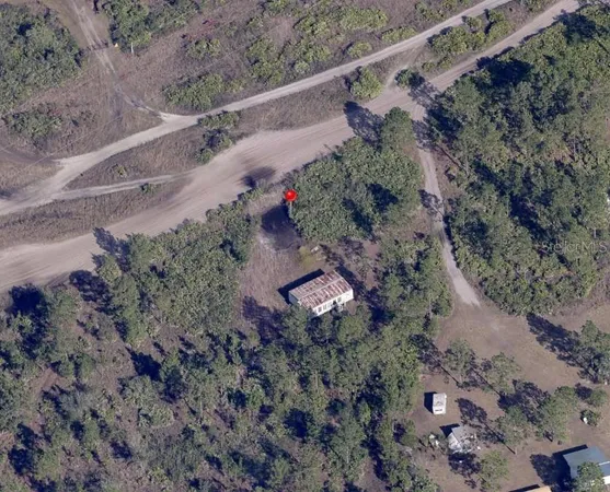 a view of a yard with a plant