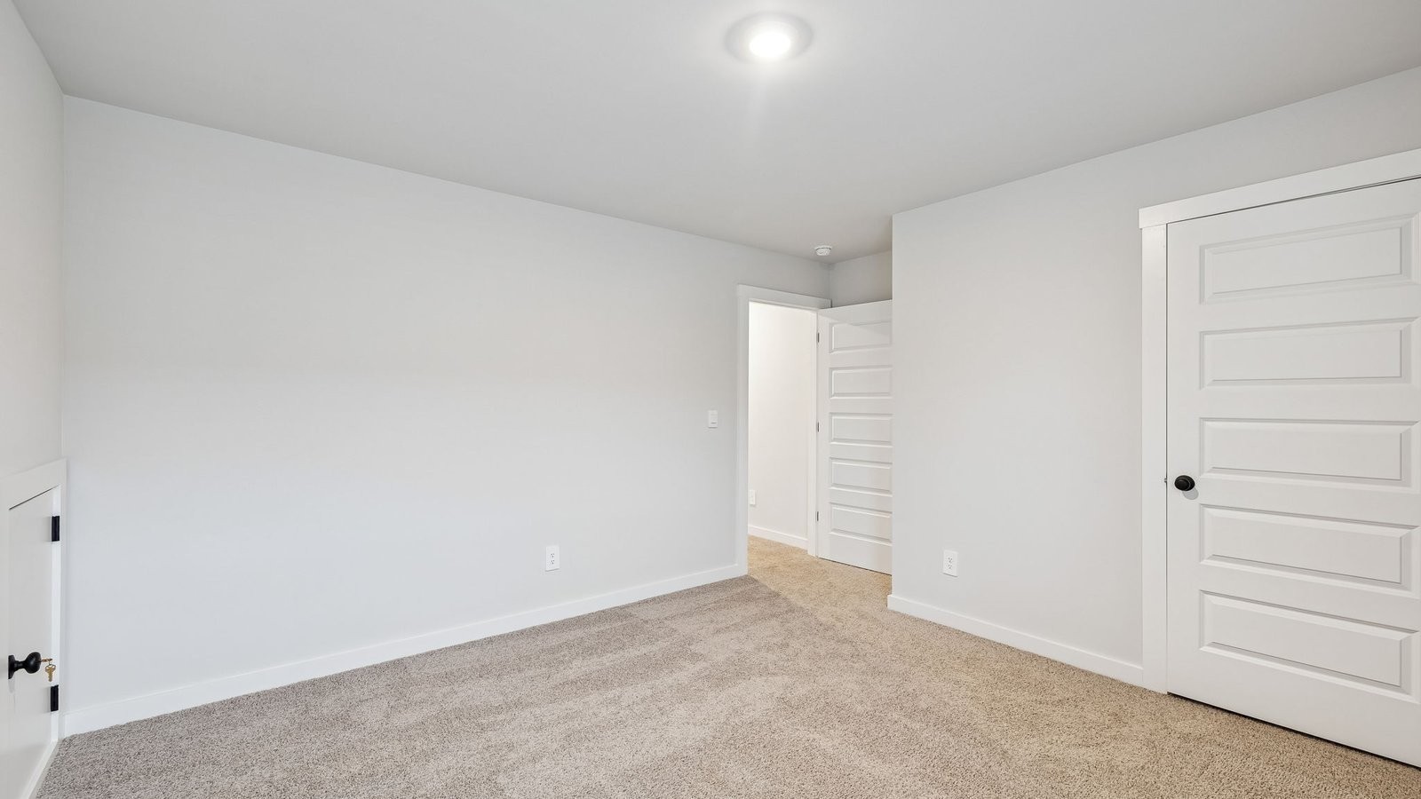 422 Wild Iris Way Spring Hill, TN 37174 - Photo 33 of 92