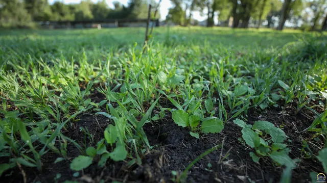 $184,485 | 2154 Road 300, Reading, KS 66868