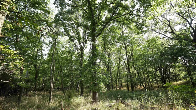 $184,485 | 2154 Road 300, Reading, KS 66868