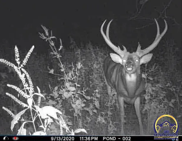 $184,485 | 2154 Road 300, Reading, KS 66868