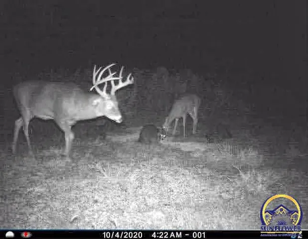 $184,485 | 2154 Road 300, Reading, KS 66868