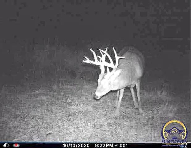 $184,485 | 2154 Road 300, Reading, KS 66868