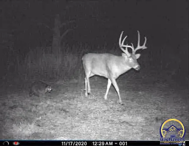 $184,485 | 2154 Road 300, Reading, KS 66868