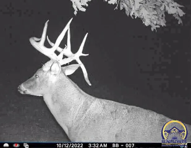 $184,485 | 2154 Road 300, Reading, KS 66868