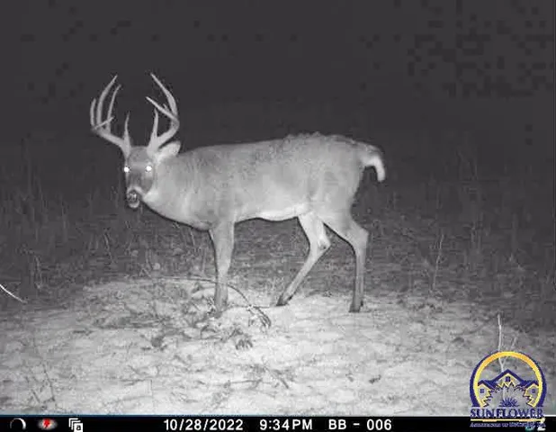 $184,485 | 2154 Road 300, Reading, KS 66868