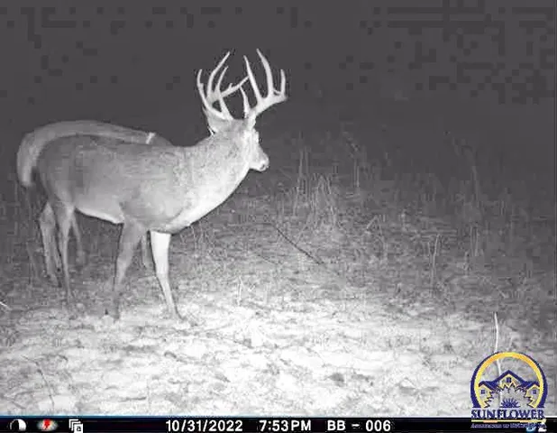 $184,485 | 2154 Road 300, Reading, KS 66868