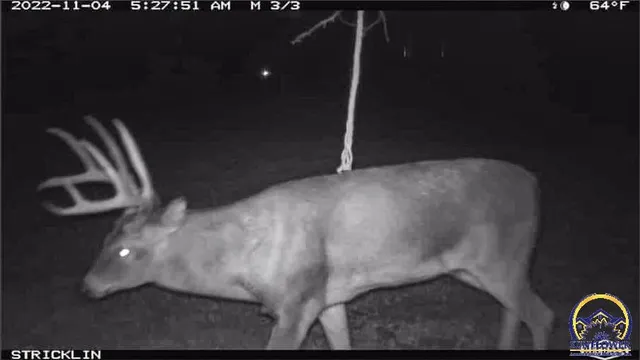 $184,485 | 2154 Road 300, Reading, KS 66868