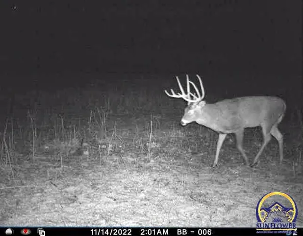 $184,485 | 2154 Road 300, Reading, KS 66868