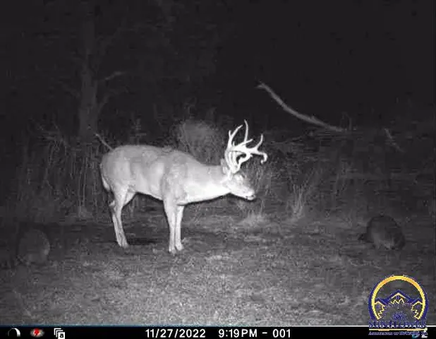 $184,485 | 2154 Road 300, Reading, KS 66868