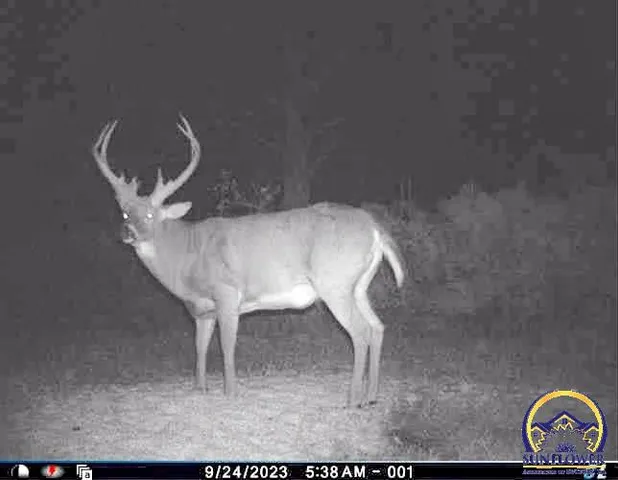 $184,485 | 2154 Road 300, Reading, KS 66868