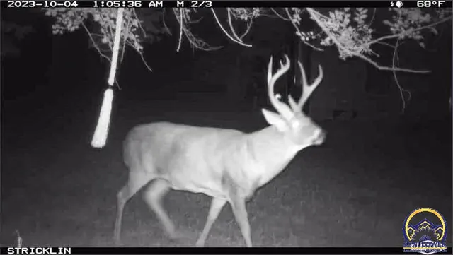 $184,485 | 2154 Road 300, Reading, KS 66868