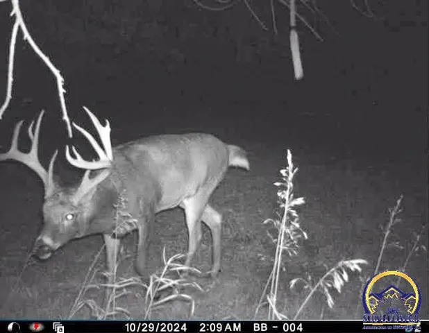 $184,485 | 2154 Road 300, Reading, KS 66868