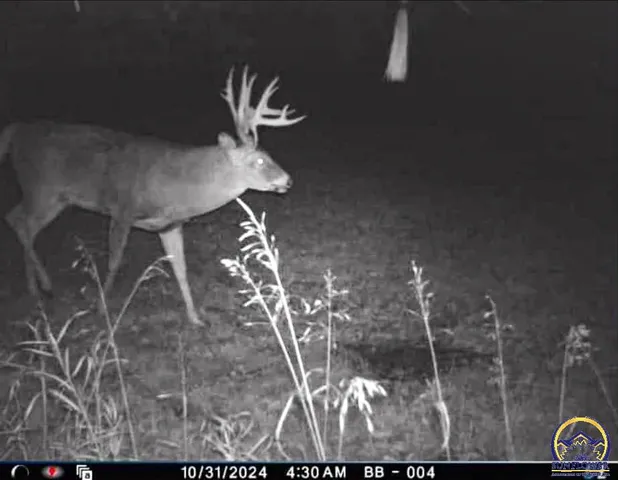 $184,485 | 2154 Road 300, Reading, KS 66868